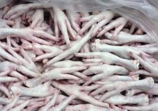 牲畜批发零售市场全解析 价格、厂家与全球采购趋势