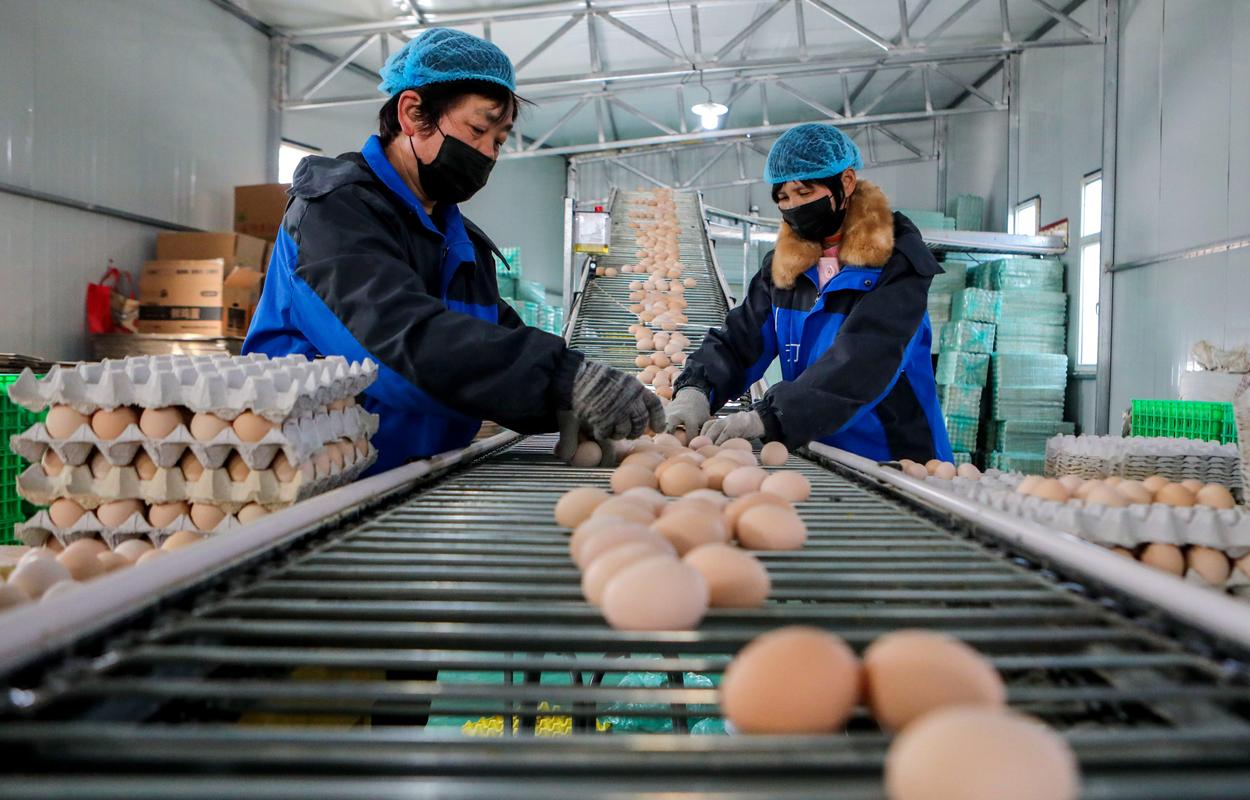 新华社照片,石家庄,2020年3月4日